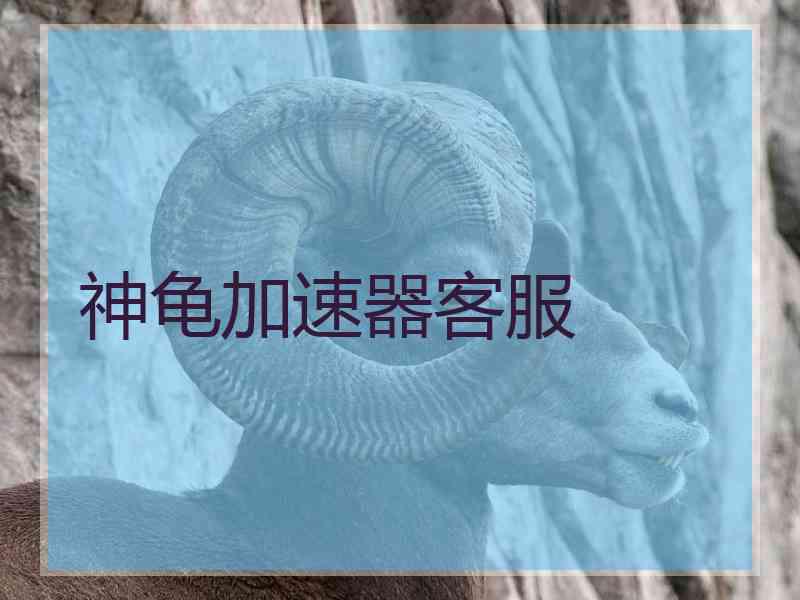 神龟加速器客服