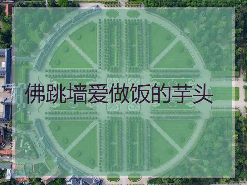佛跳墙爱做饭的芋头