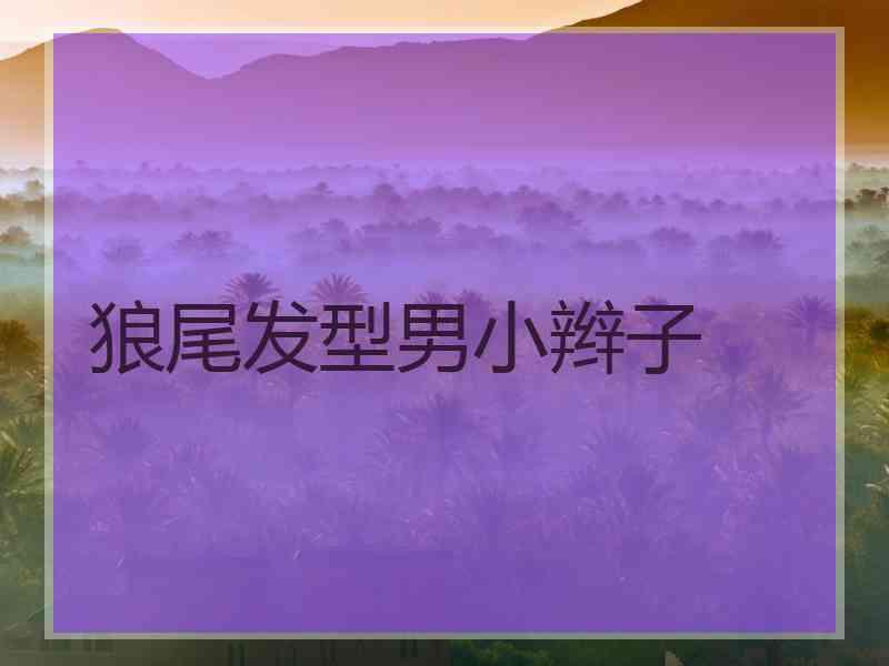狼尾发型男小辫子