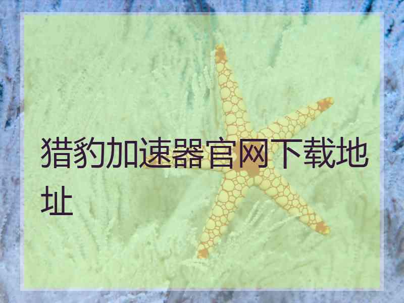 猎豹加速器官网下载地址
