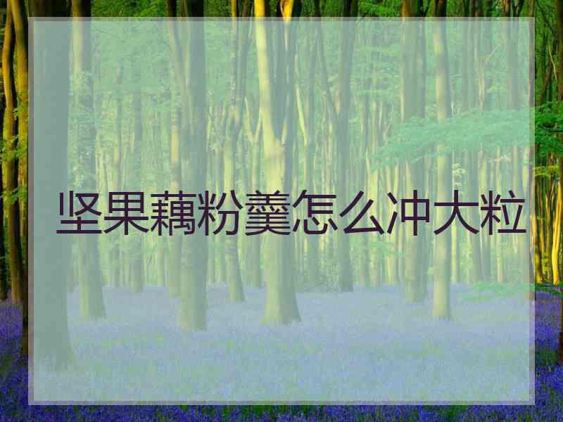坚果藕粉羹怎么冲大粒