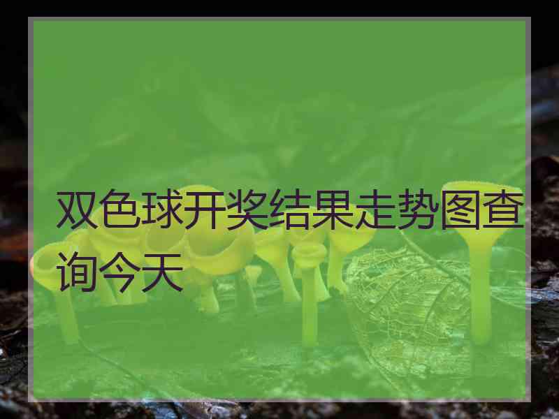 双色球开奖结果走势图查询今天