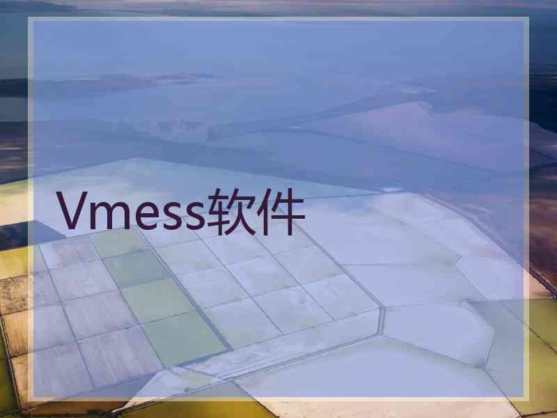 Vmess软件