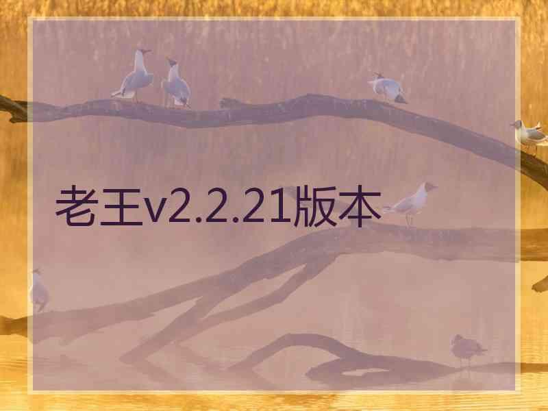 老王v2.2.21版本