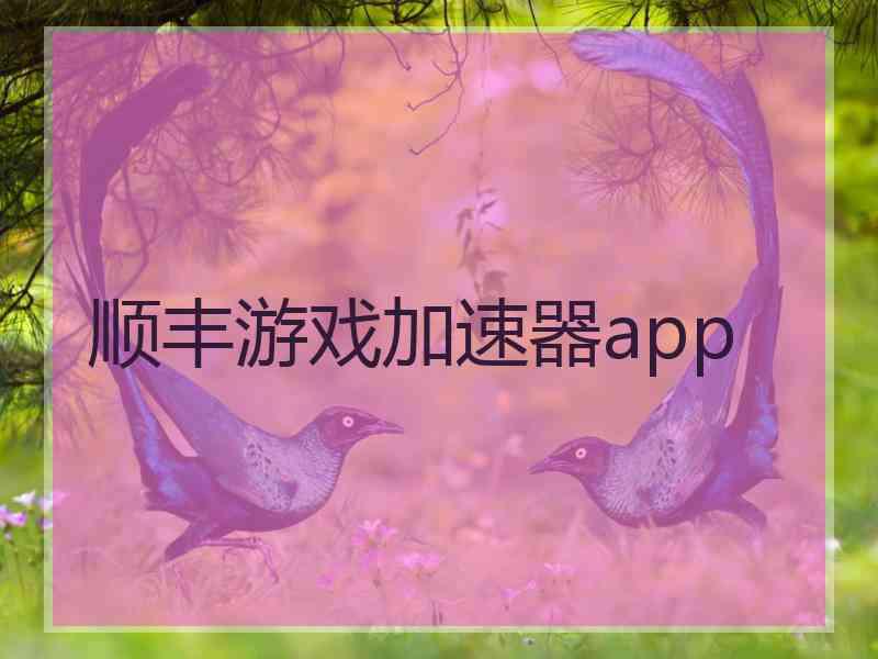 顺丰游戏加速器app