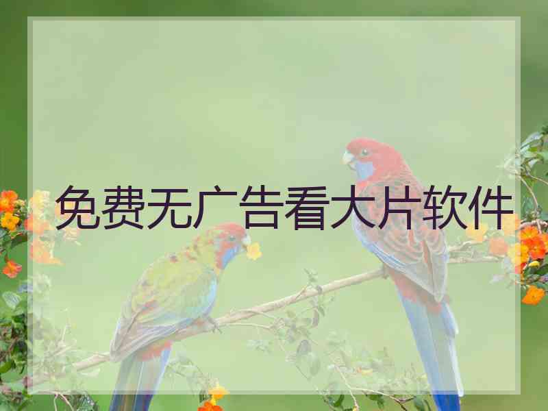 免费无广告看大片软件