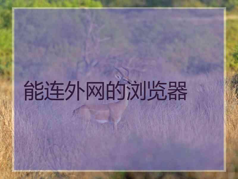 能连外网的浏览器