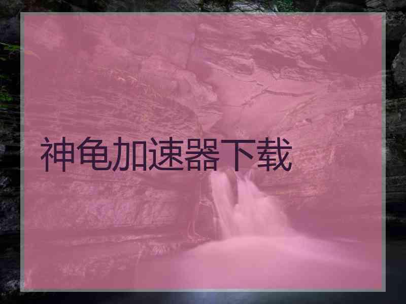 神龟加速器下载