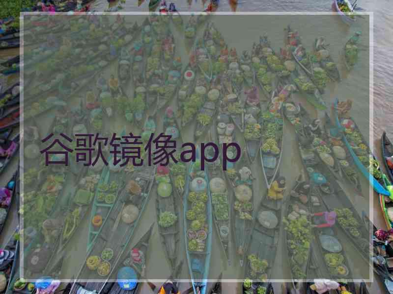 谷歌镜像app