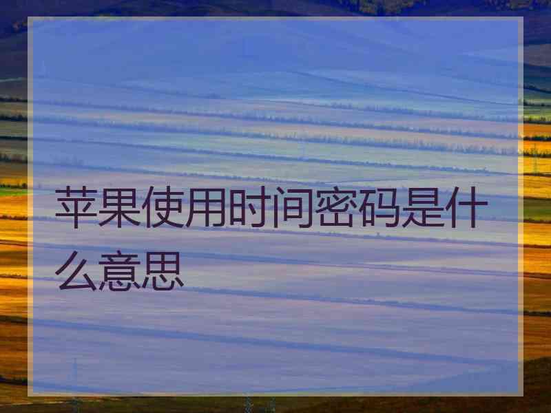 苹果使用时间密码是什么意思