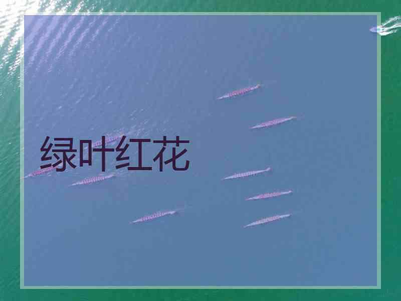 绿叶红花