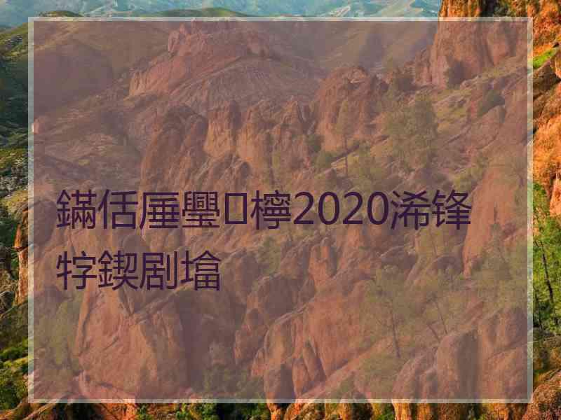 鏋佸厜璺檸2020浠锋牸鍥剧墖