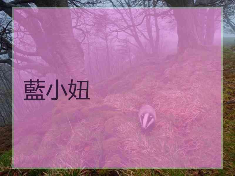 藍小妞