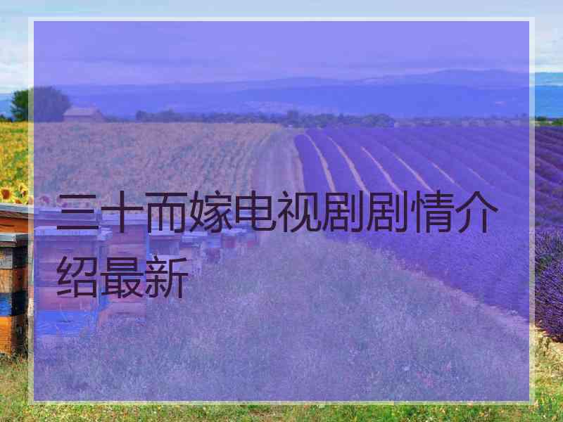 三十而嫁电视剧剧情介绍最新