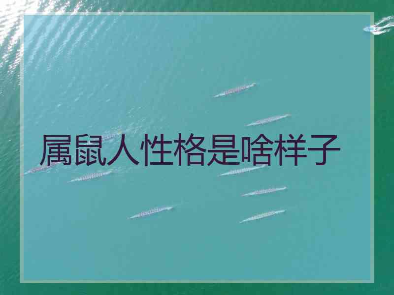 属鼠人性格是啥样子