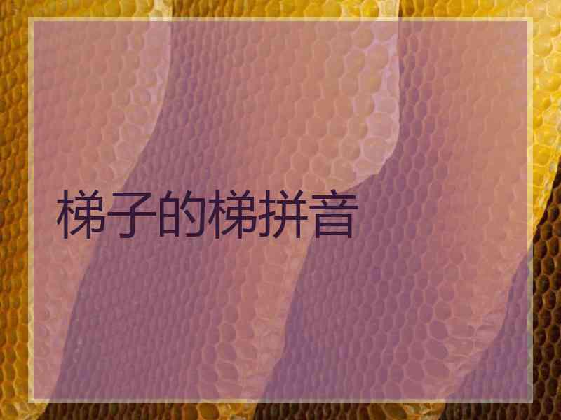 梯子的梯拼音