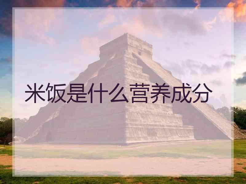 米饭是什么营养成分