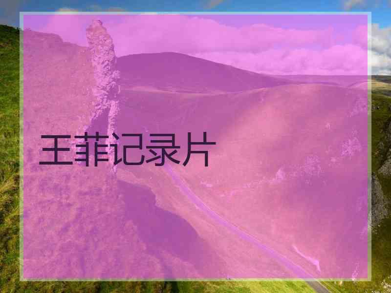 王菲记录片