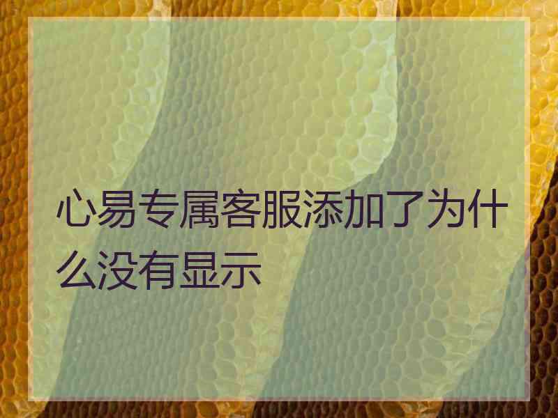 心易专属客服添加了为什么没有显示