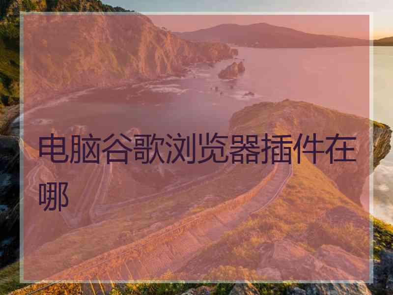 电脑谷歌浏览器插件在哪