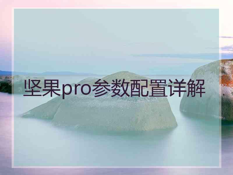 坚果pro参数配置详解