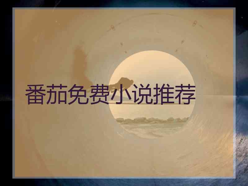 番茄免费小说推荐