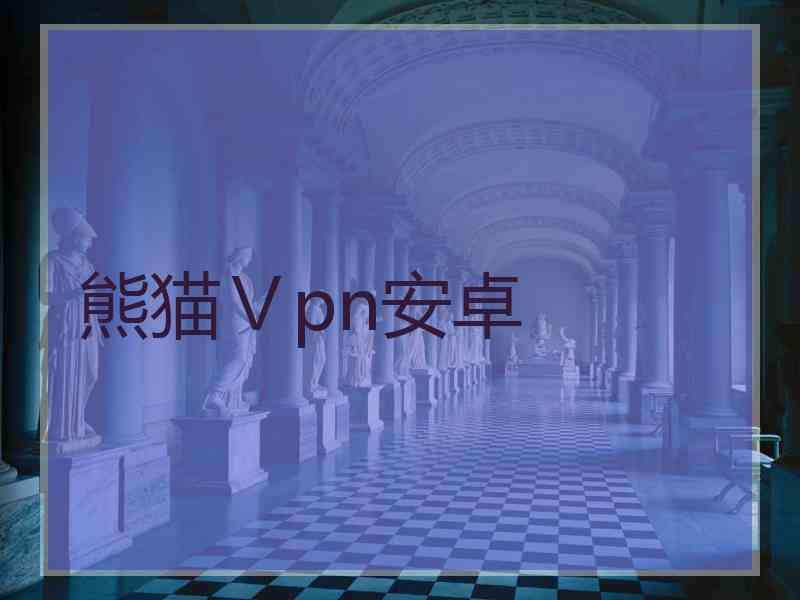 熊猫Ⅴpn安卓