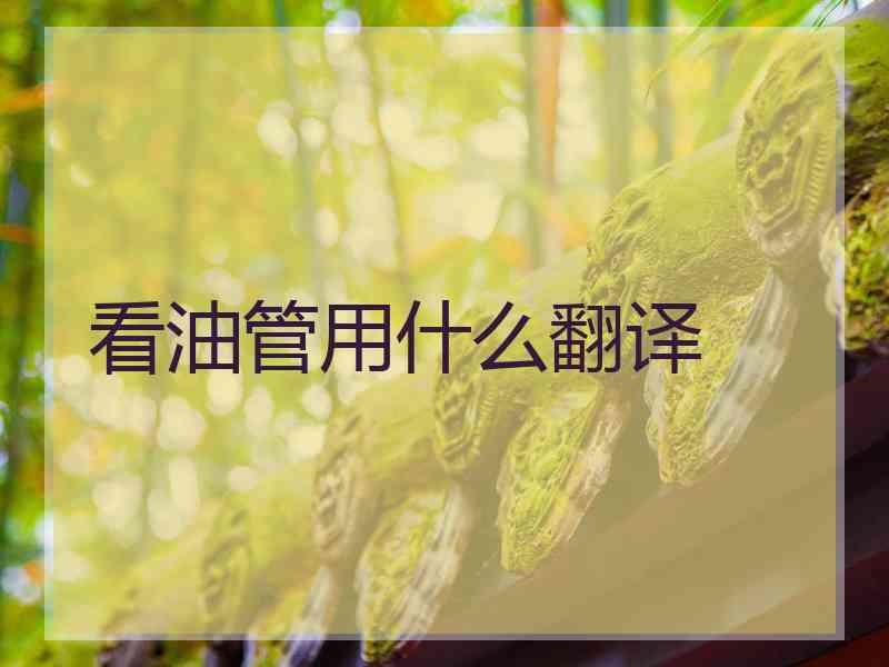 看油管用什么翻译
