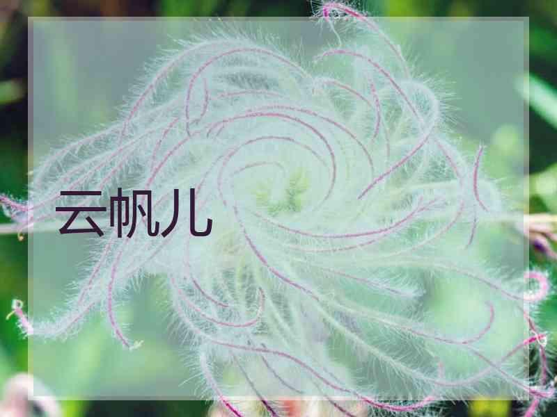 云帆儿