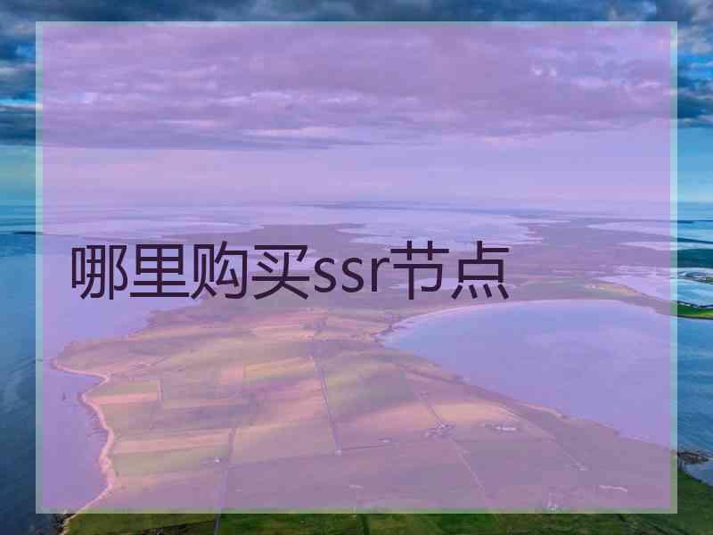 哪里购买ssr节点