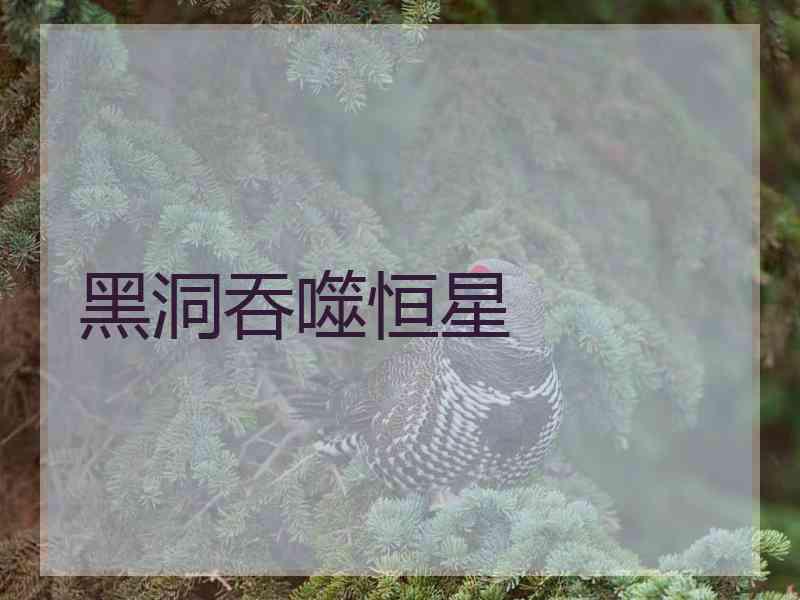 黑洞吞噬恒星