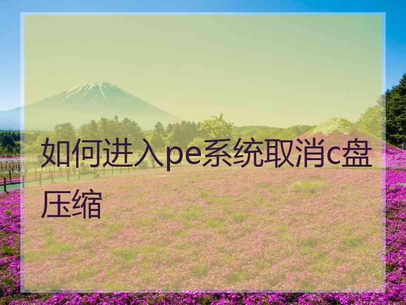 如何进入pe系统取消c盘压缩