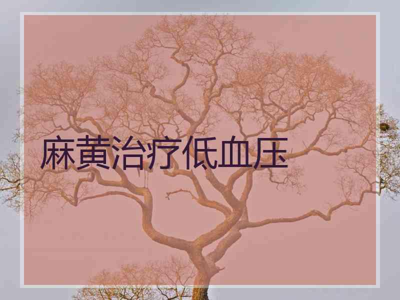 麻黄治疗低血压