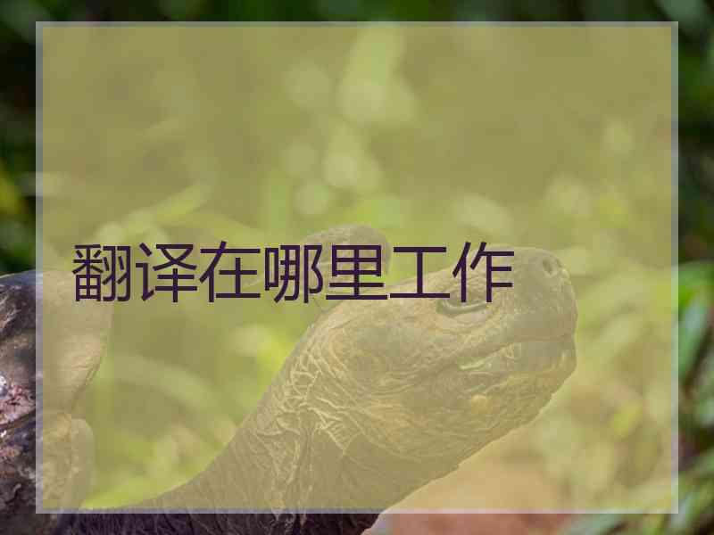 翻译在哪里工作