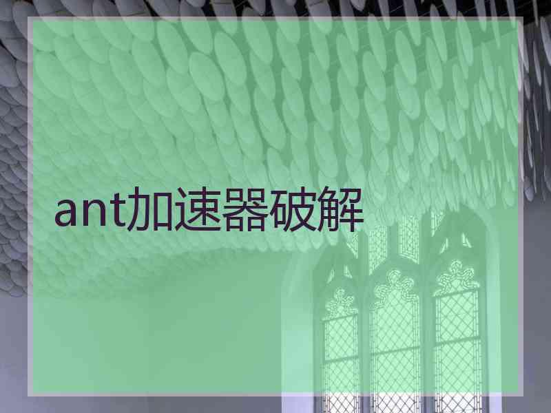 ant加速器破解