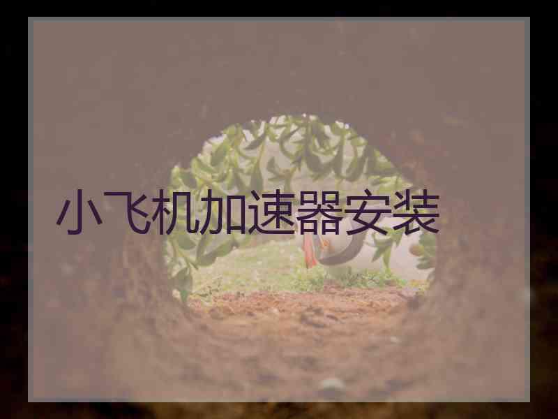 小飞机加速器安装