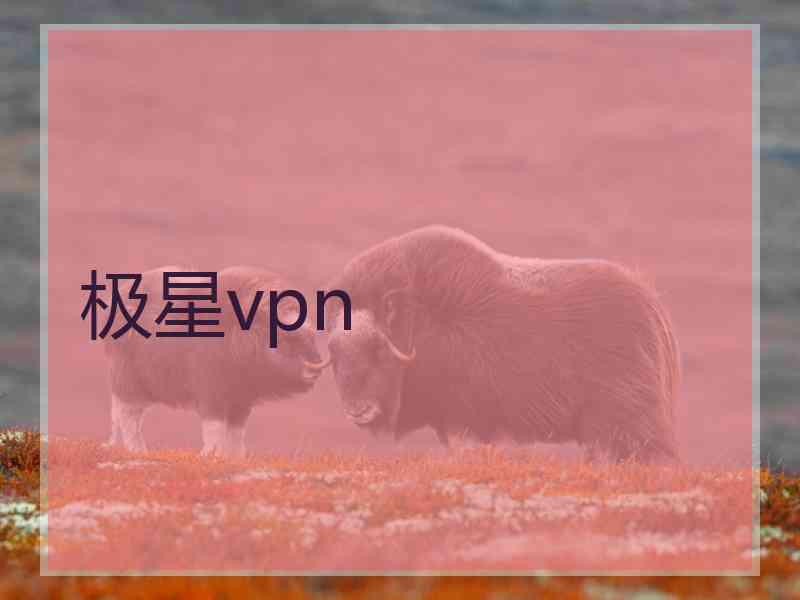 极星vpn