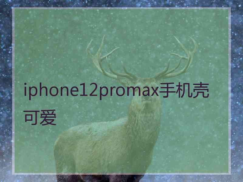 iphone12promax手机壳可爱