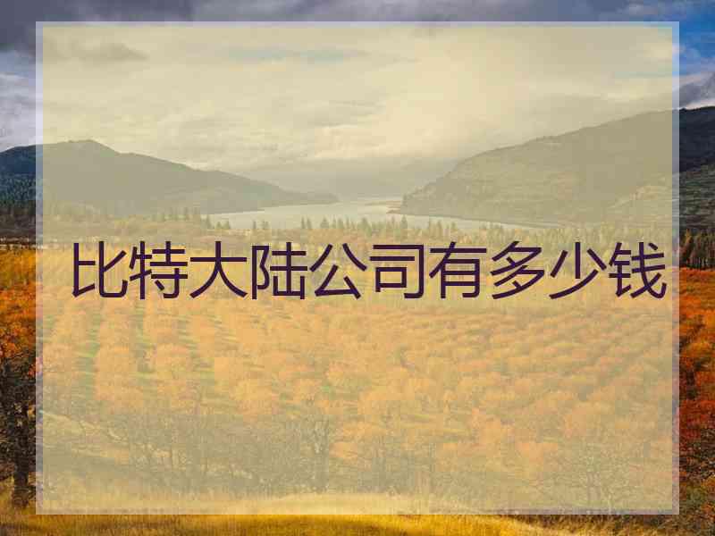 比特大陆公司有多少钱