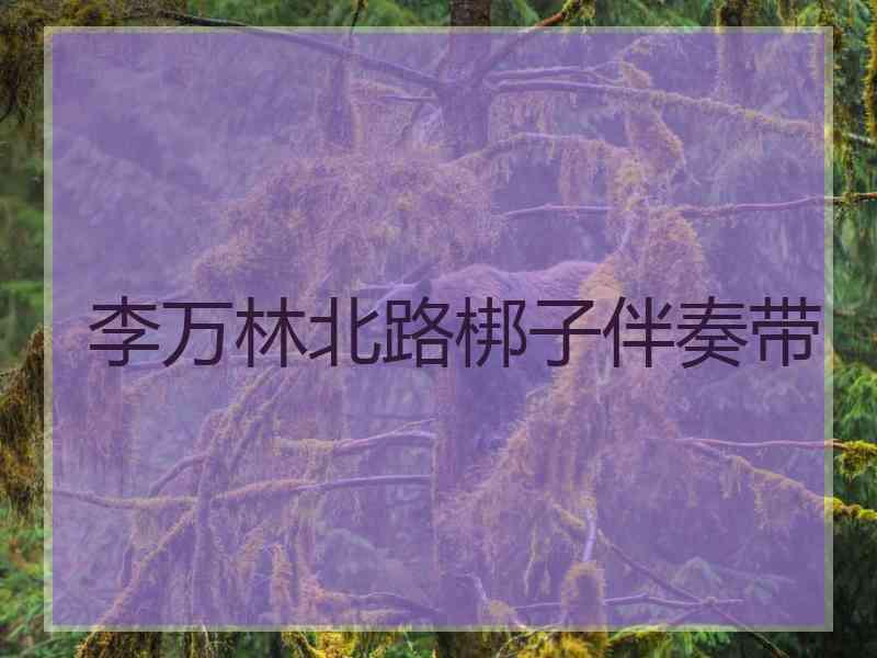 李万林北路梆子伴奏带