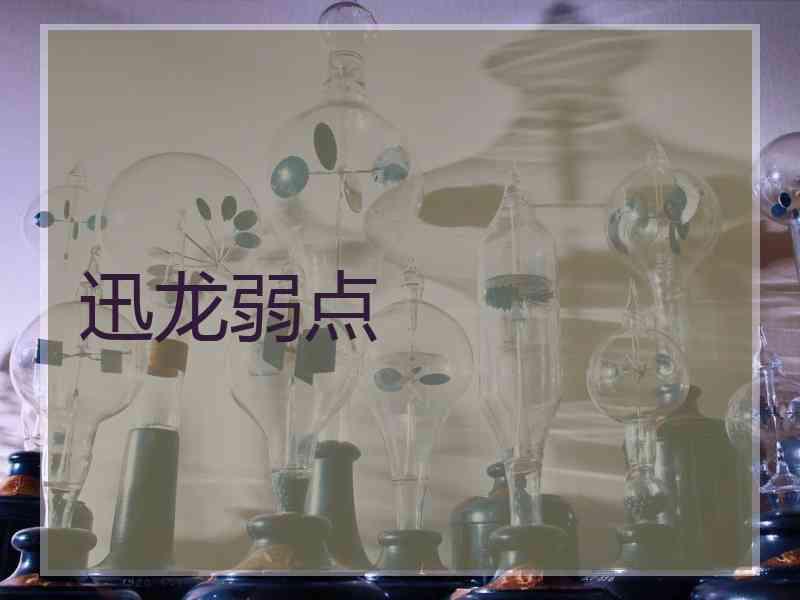 迅龙弱点