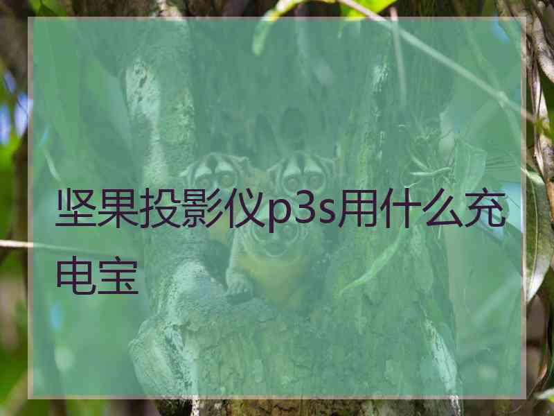 坚果投影仪p3s用什么充电宝