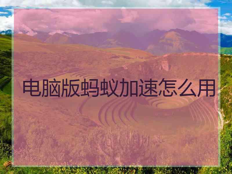 电脑版蚂蚁加速怎么用