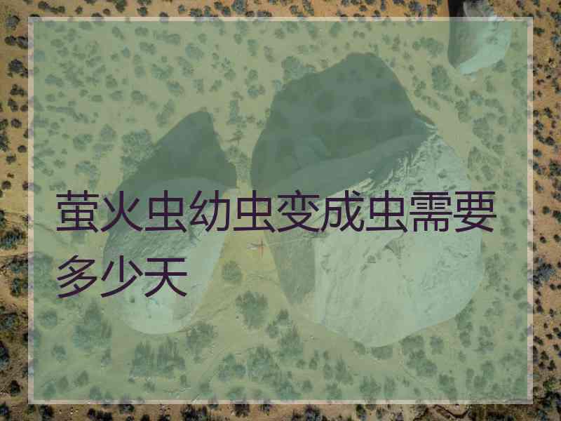 萤火虫幼虫变成虫需要多少天