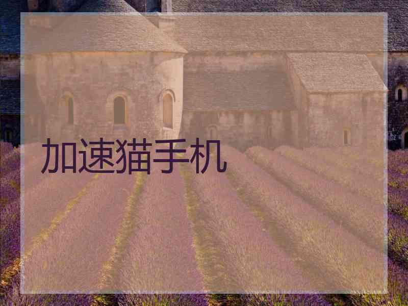 加速猫手机