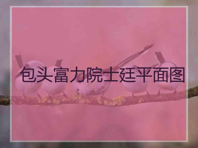 包头富力院士廷平面图