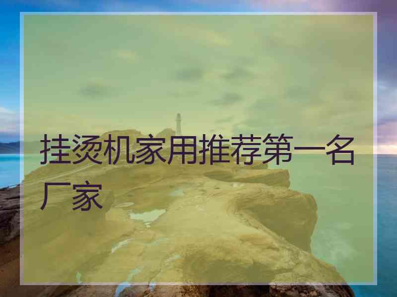 挂烫机家用推荐第一名厂家