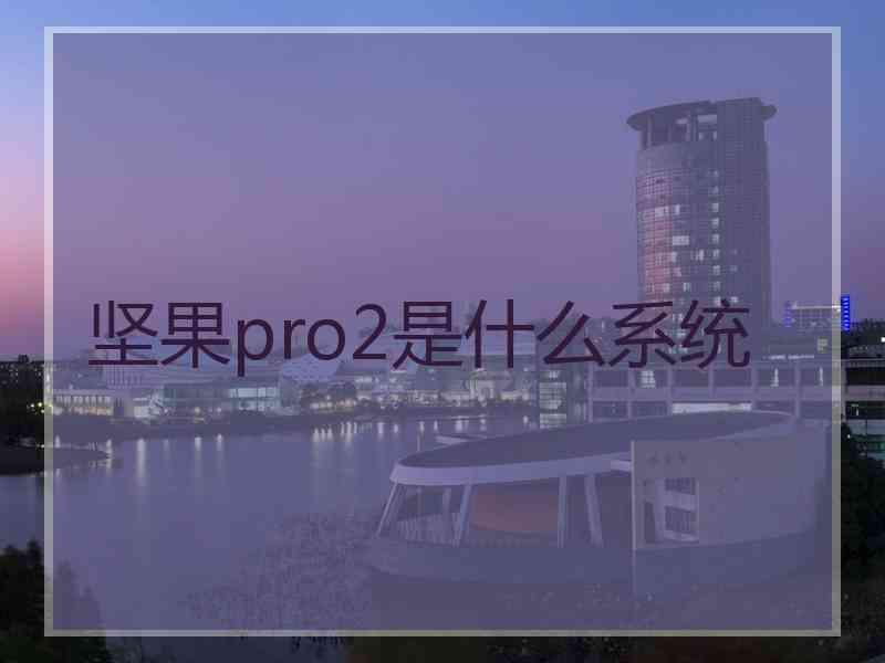 坚果pro2是什么系统