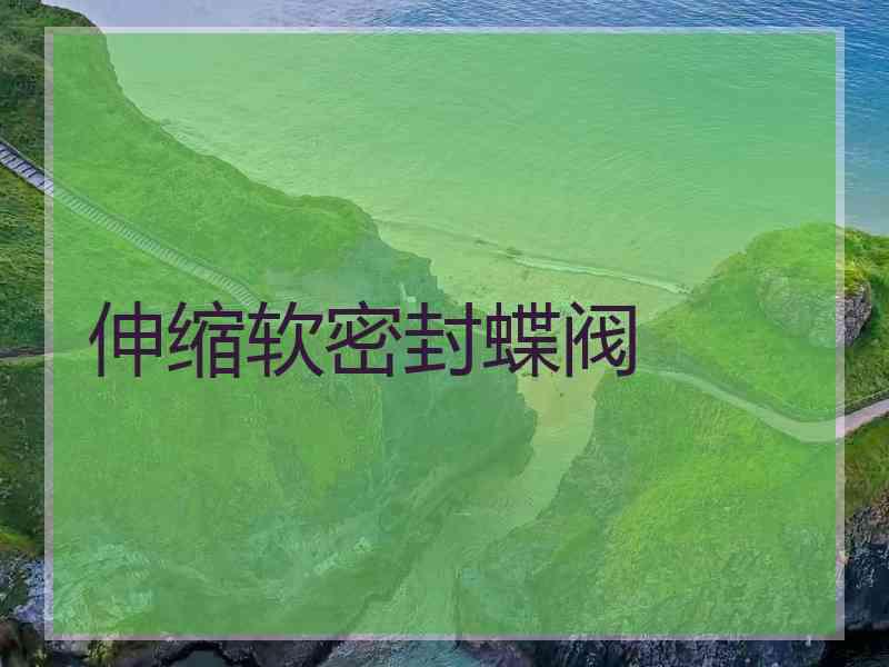 伸缩软密封蝶阀