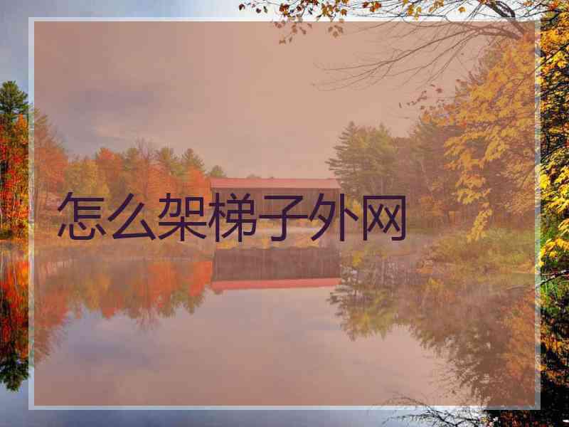 怎么架梯子外网